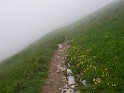 Climbing Mount Crna Prst 8 - path off into the mist